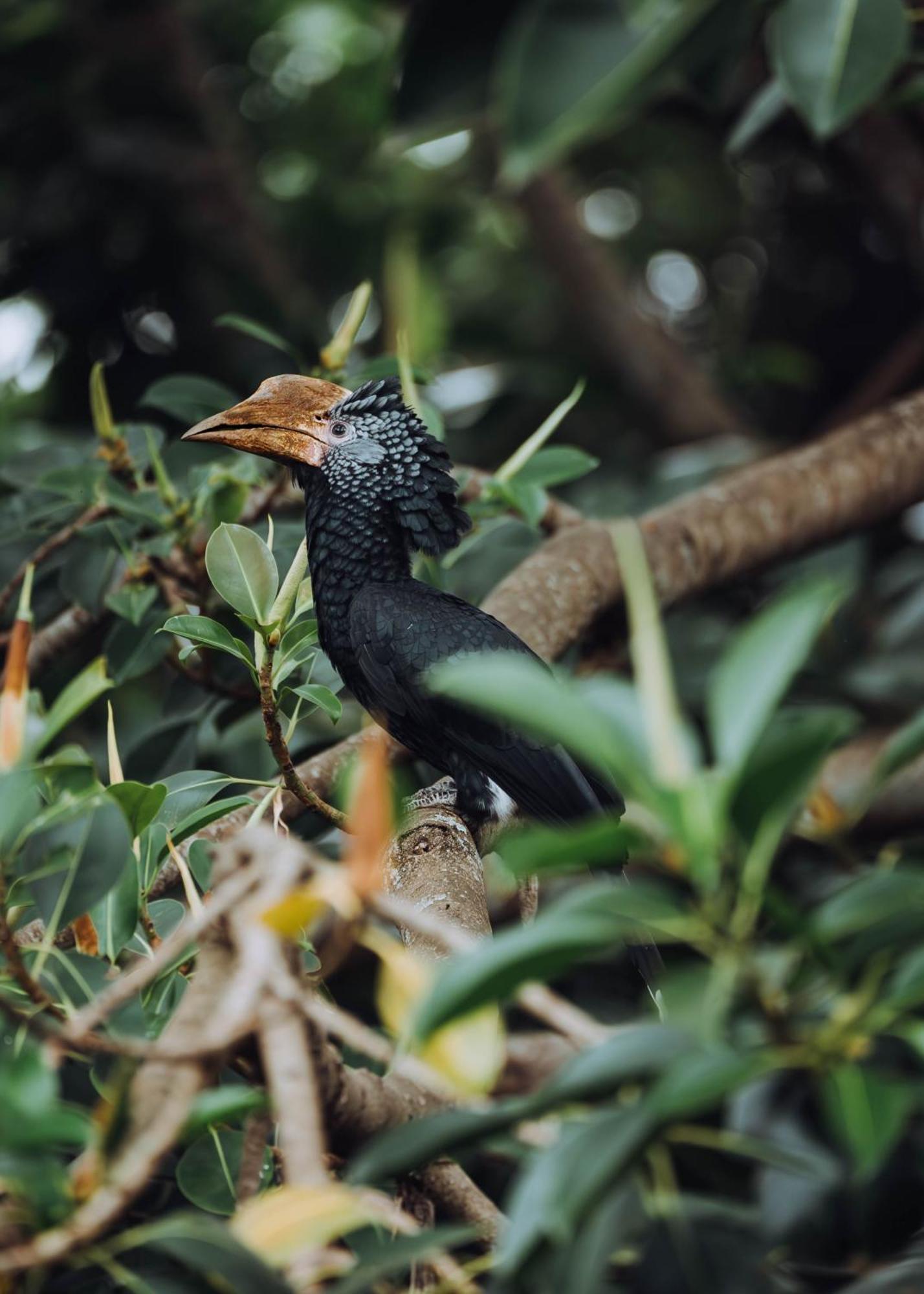 Aishi Machame Villa Moshi Eksteriør billede