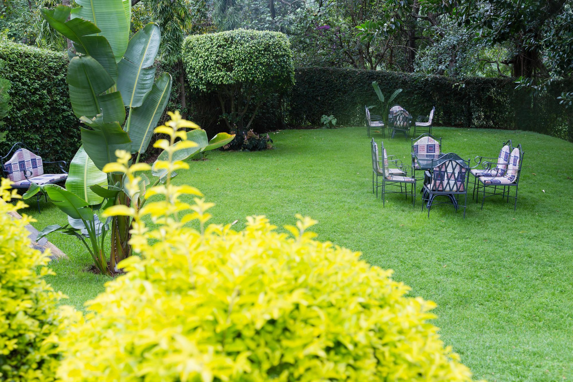 Aishi Machame Villa Moshi Eksteriør billede